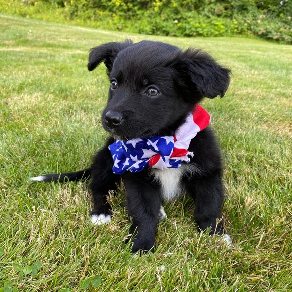 Meet Danielle! - Picture 7 of 7